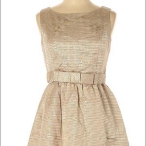 Striking Lauren Conrad Cocktail/Party Dress.